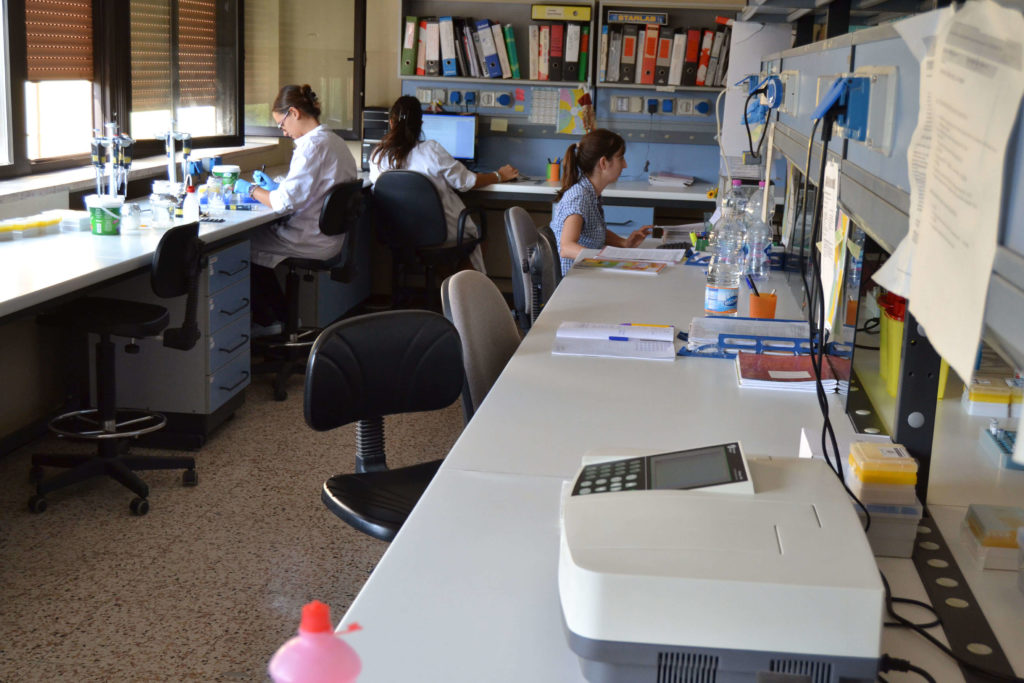 Laboratorio Associazione